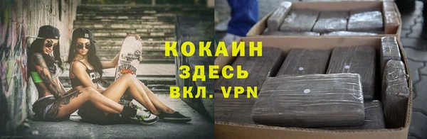 стафф Арсеньев