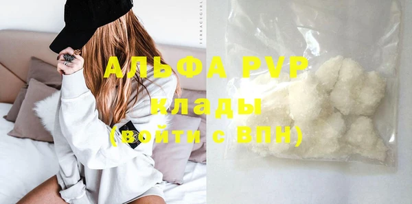 стафф Арсеньев