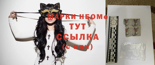 стафф Арсеньев