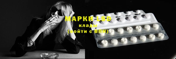 стафф Арсеньев