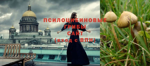 метадон Армянск