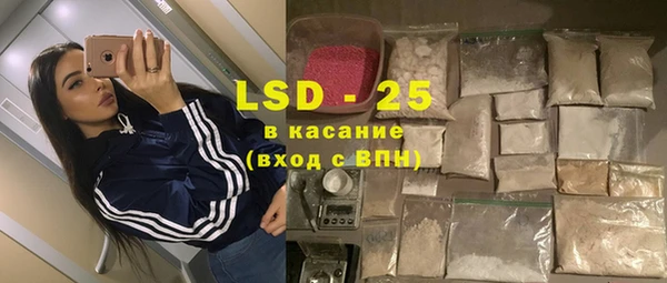 стафф Арсеньев